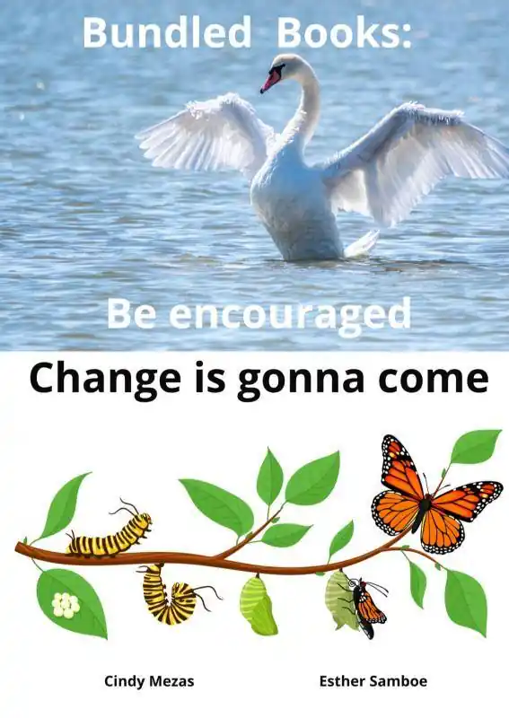 Bundled Books: Be Encouraged | Change is gonna come / 1st Edition Dagaanbieding