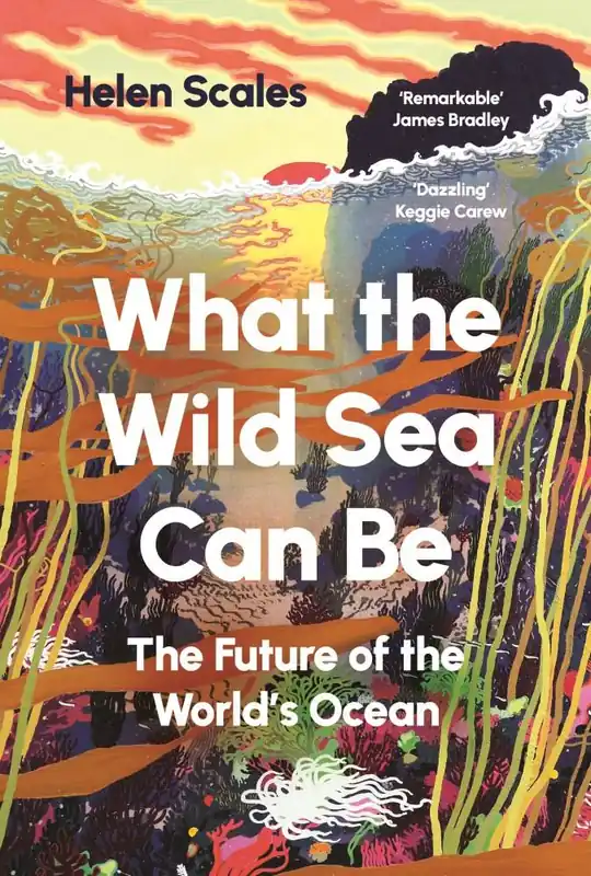 Op = Op What the Wild Sea Can Be
