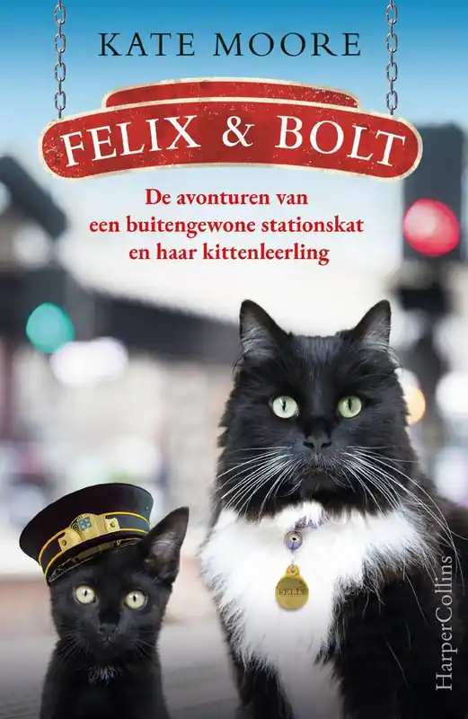 Must-Have Felix & Bolt / Druk 1