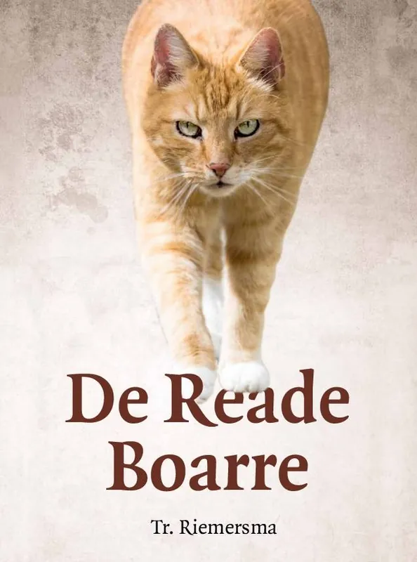 De Reade Boarre / 1 Edition Flitsaanbieding