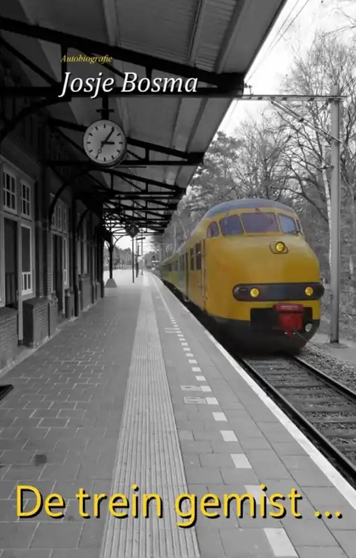 Alleen Vandaag De trein gemist ... / Druk 2