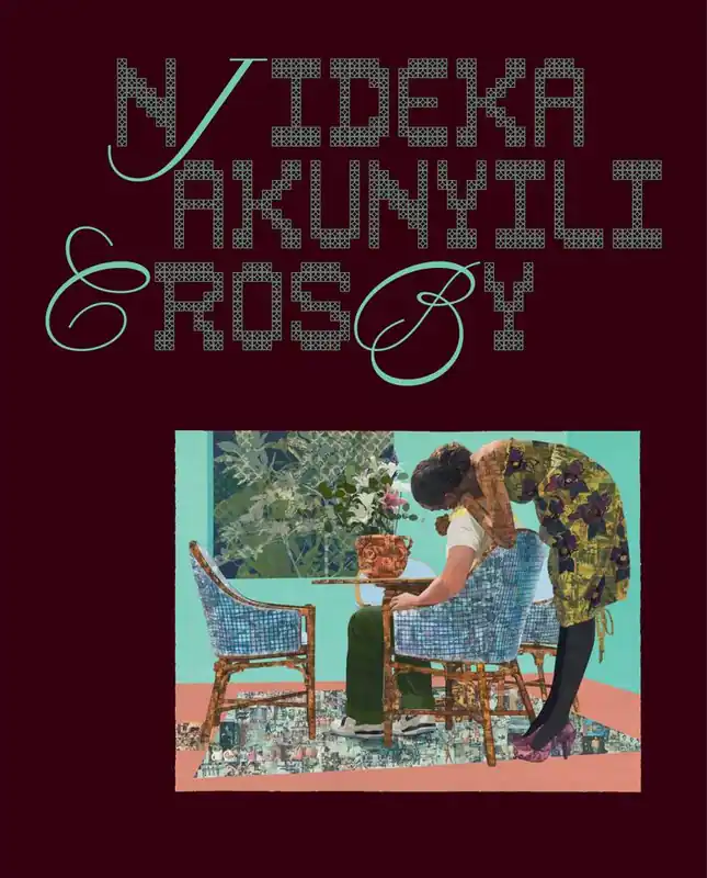 Koop Vandaag Njideka Akunyili Crosby