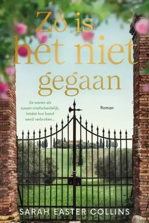 Zo is het niet gegaan / Druk 1 Gereduceerde Prijs