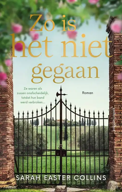 Zo is het niet gegaan / Druk 1 Gereduceerde Prijs