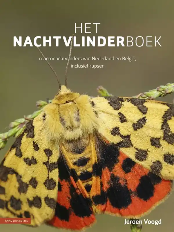 Het nachtvlinderboek / Druk 3 Snelle Levering