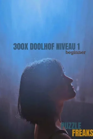 300X DOOLHOF NIVEAU 1 / Druk 2 Betaalbaar