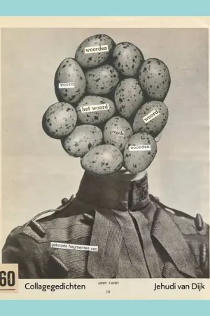 60 Collagegedichten / Druk 1 Veilige Betaling