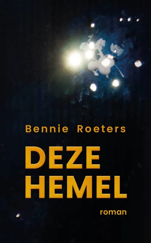 Deze hemel / Druk 1 Gereduceerde Prijs