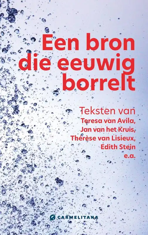 Een bron die eeuwig borrelt / Druk 1 Flitsaanbieding