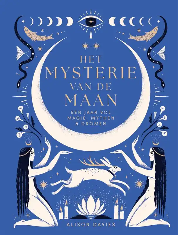 Fabrieksprijs Het mysterie van de maan / Druk 1