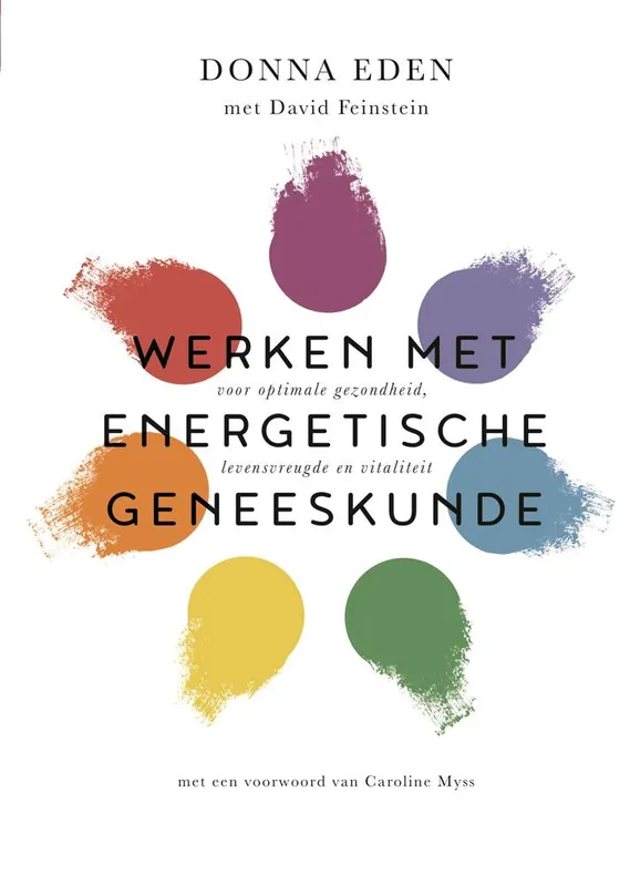 Werken met energetische geneeskunde / Druk 1 Gereduceerde Prijs