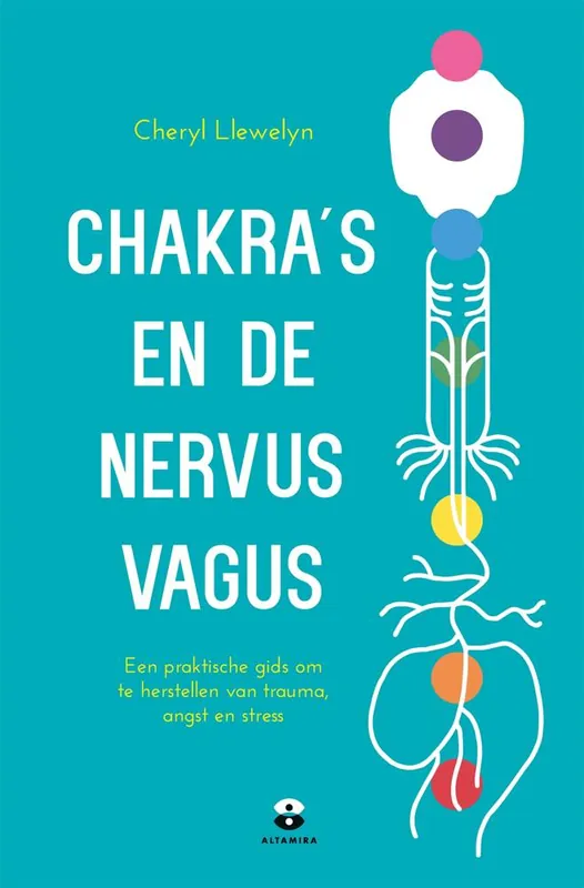 Lage Kosten Chakra's en de nervus vagus / Druk 1