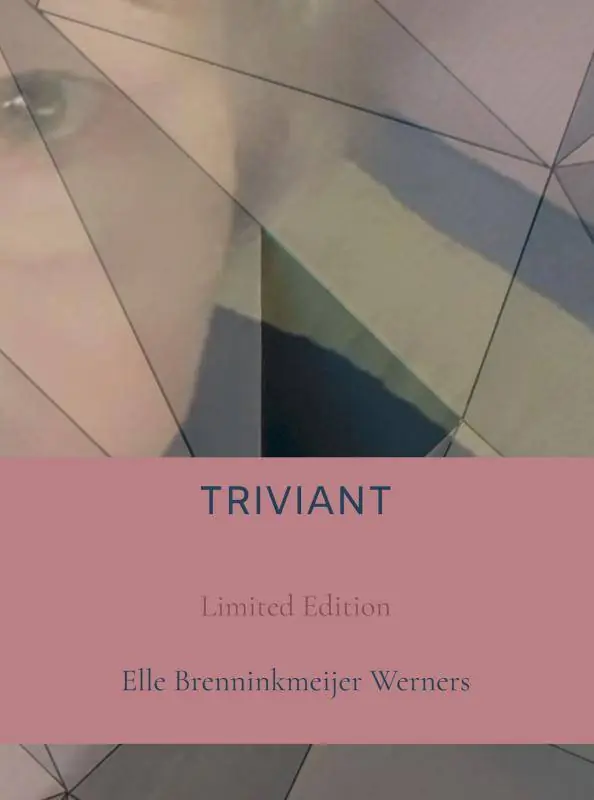 TRIVIANT / Druk 1 Alleen Vandaag