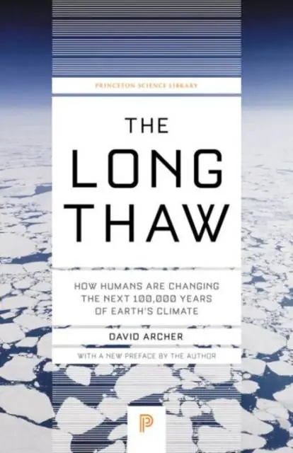 Goedkoop The Long Thaw