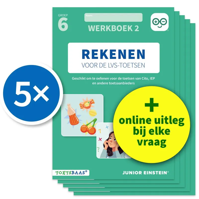 Rekenen voor de LVS-toetsen - Groep 6 - Werkboek 2 - Set van 5 / Druk 1 Gratis Verzending