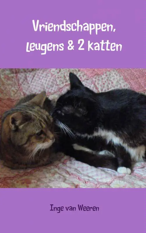 Populair Vriendschappen, leugens & 2 katten / Druk 1