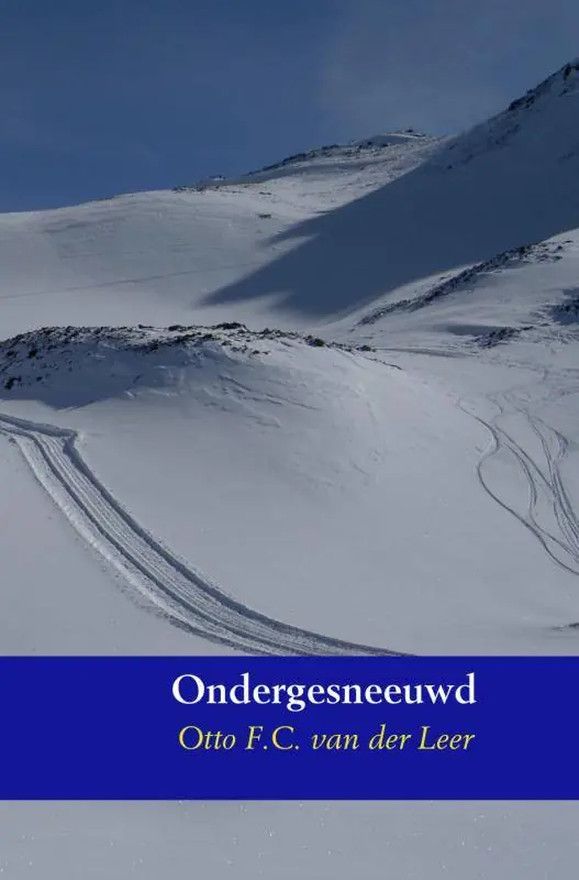 Ondergesneeuwd / Druk 1 Hoge Kwaliteit