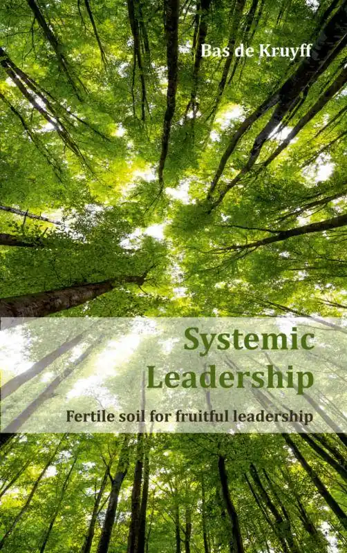 Koop Online Systemic Leadership / 3rd Edition