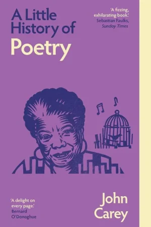 A Little History of Poetry Voordeelprijs