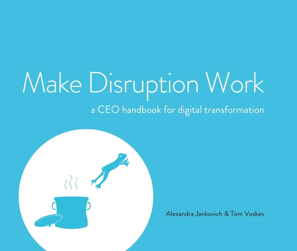 Direct Beschikbaar Make Disruption Work / 1st Edition