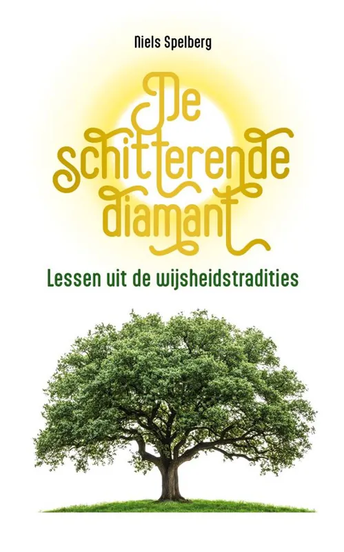 De schitterende diamant / Druk 1 Seizoensaanbieding