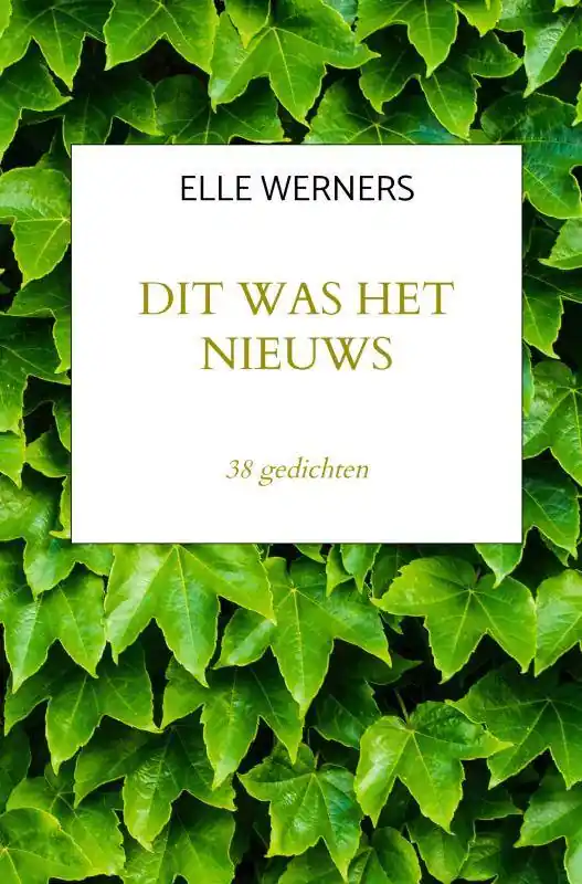 Veilige Betaling DIT WAS HET NIEUWS / 1st Edition