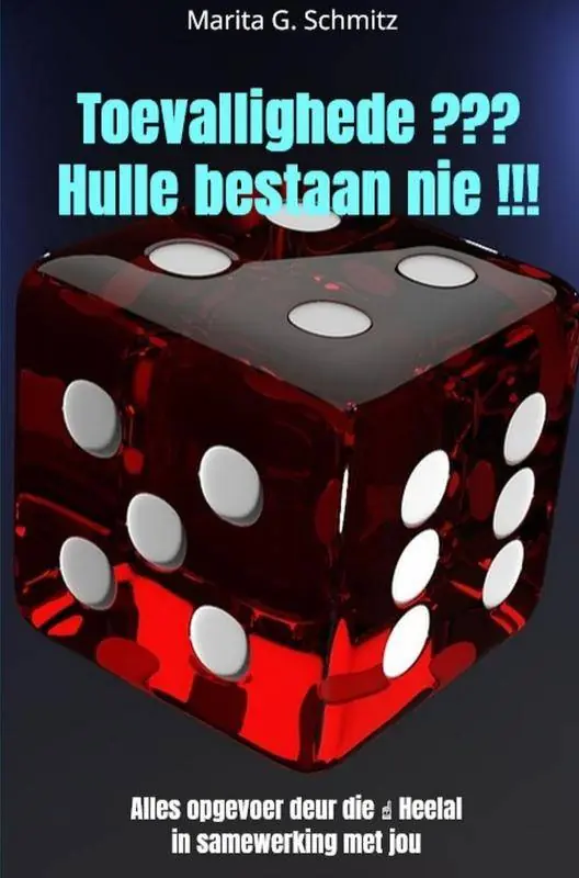 Toevallighede ??? Hulle bestaan nie !!! / 1 Edition Actieprijs