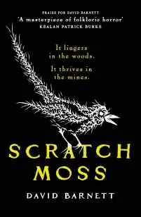 Aanbieding Scratch Moss