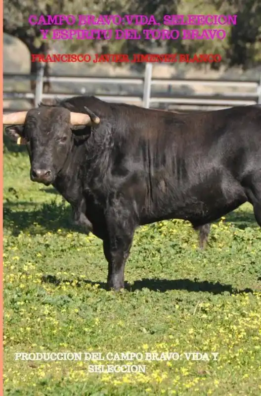 Snelle Levering CAMPO BRAVO:VIDA, SELEECION Y ESPIRITU DEL TORO BRAVO / 1 Edition