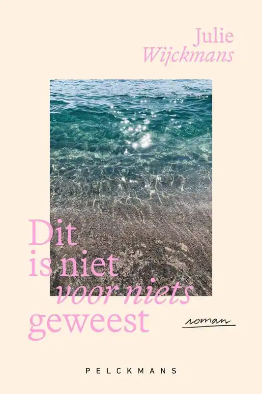 Bestseller Dit is niet voor niets geweest / Druk 1