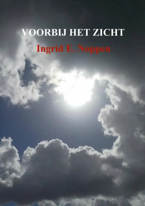 Snelle Levering VOORBIJ HET ZICHT / Druk 1