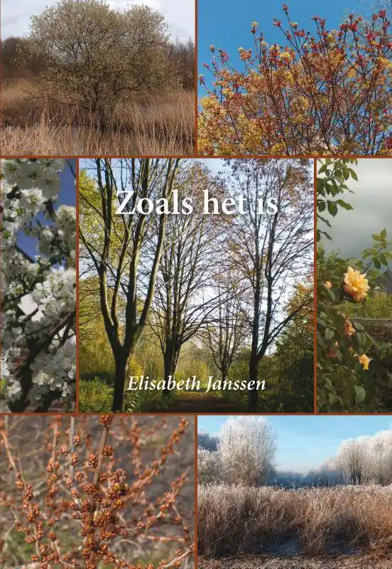 Zoals het is / Druk 1 Koopje