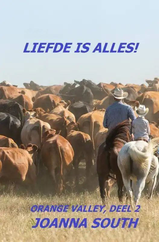 Dagaanbieding Liefde is alles! / Druk 6