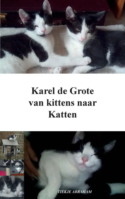 Snelle Levering Karel de Grote / Druk 1
