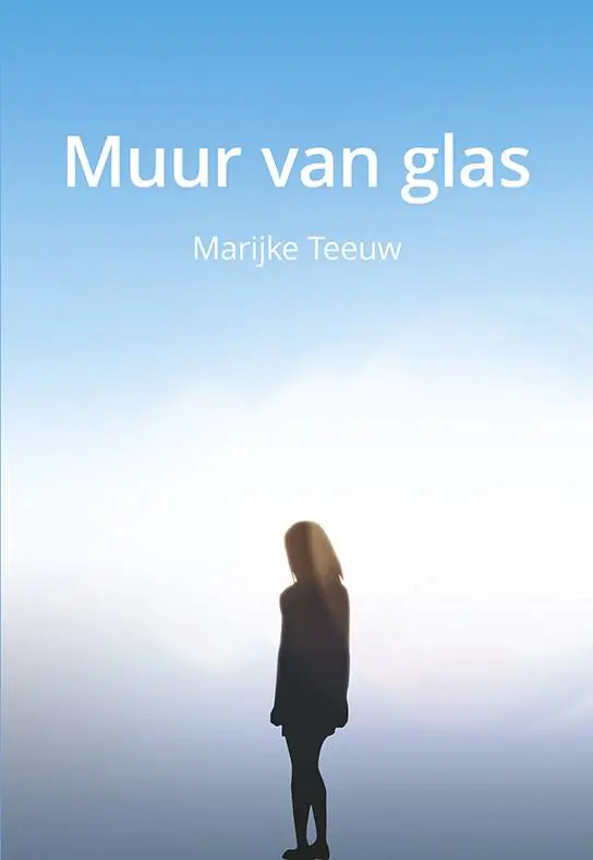 Betrouwbaar Muur van glas / Druk 1