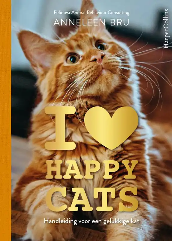Hoge Kwaliteit I Love Happy Cats / Druk 1