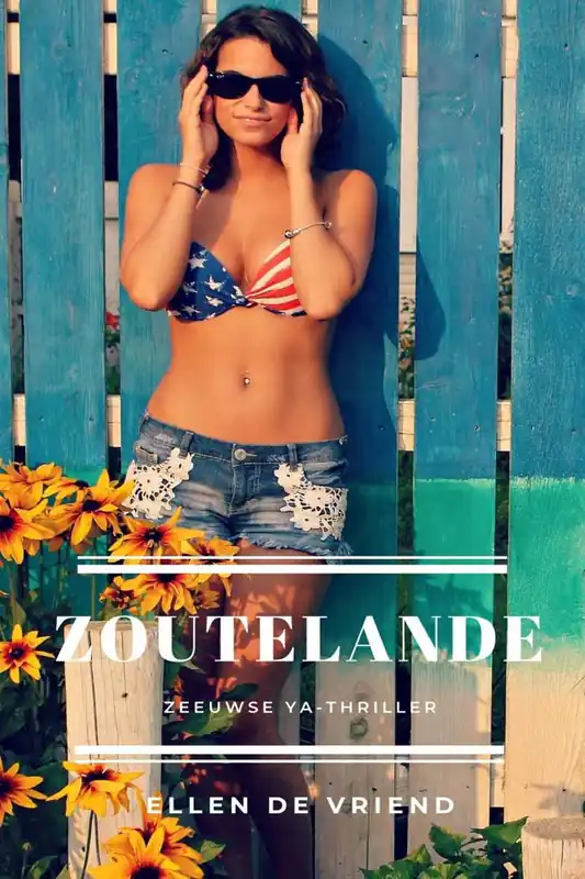Zoutelande / Druk 1 Tijdelijk Beschikbaar