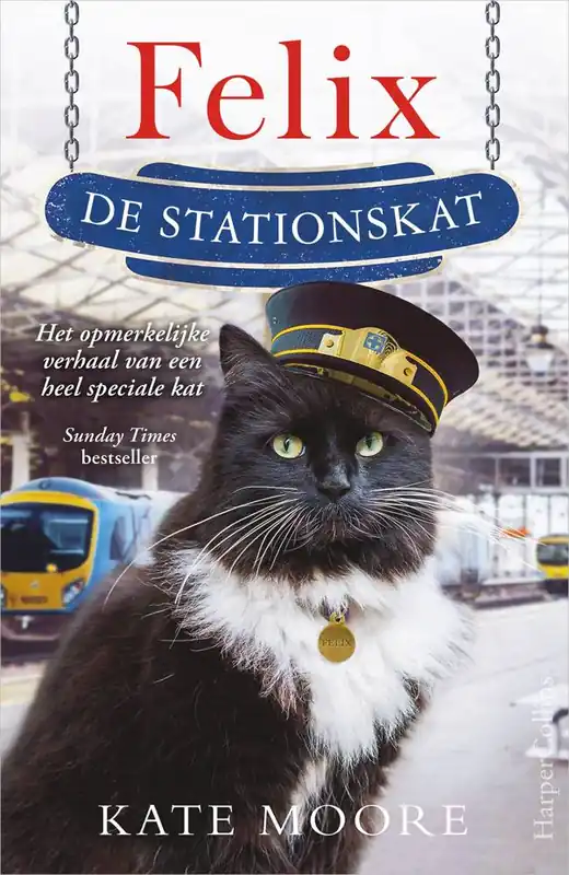 Felix de stationskat / Druk 1 Shop Nu