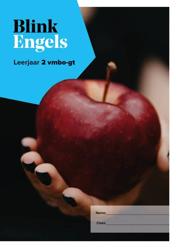 Blink Engels leerwerkboek 2GT Laatste Kans