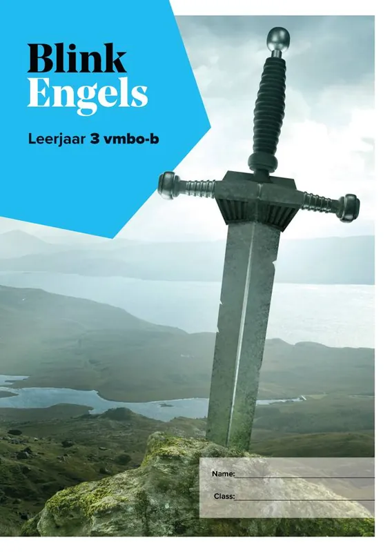 Blink Engels leerwerkboek 3B Superprijs