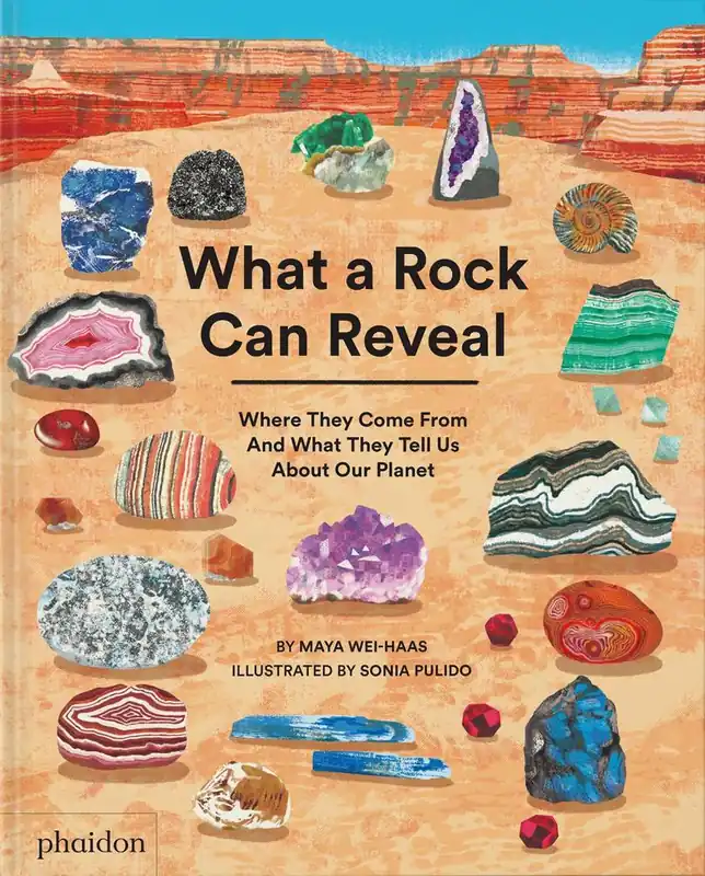 Seizoensaanbieding What a Rock Can Reveal