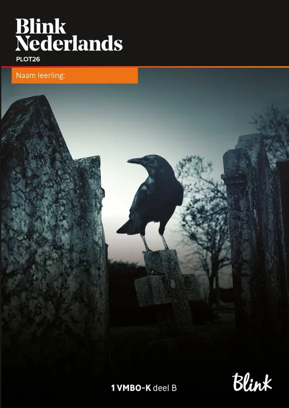Blink Nederlands leerlingboek 1K - deel B Koop Vandaag