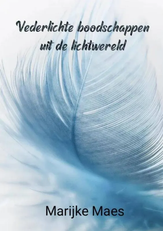 Vederlichte boodschappen uit de lichtwereld / Druk 1 Hoge Kwaliteit
