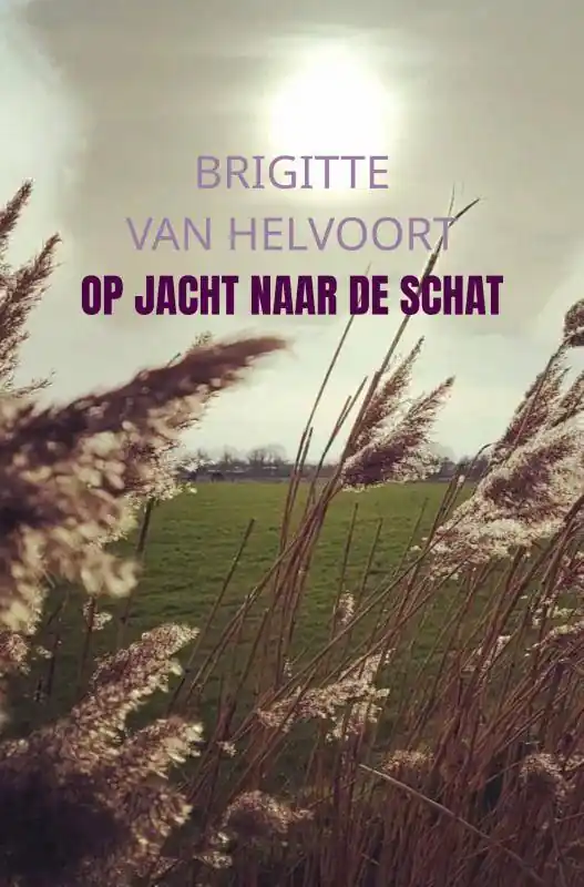Direct Verzonden Op jacht naar de schat / Druk 1