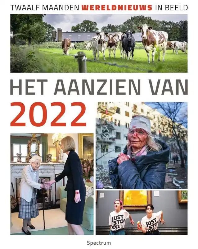 Gereduceerde Prijs Het aanzien van 2022 / Druk 1
