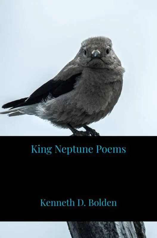 King Neptune Poems / 1st Edition Express Levering