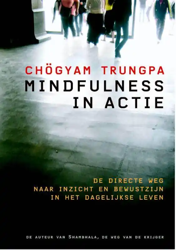Mindfulness in actie / Druk 1 Gratis Retour