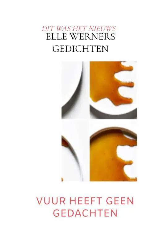Bestseller VUUR HEEFT GEEN GEDACHTEN / 1st Edition
