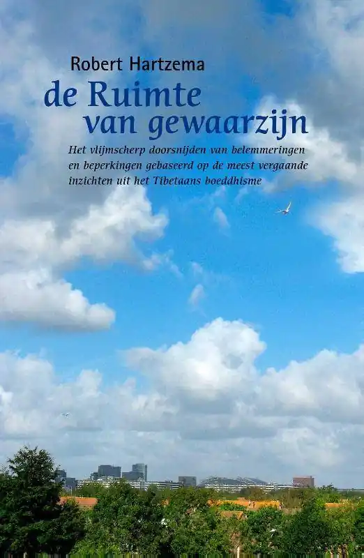 Gereduceerde Prijs De ruimte van gewaarzijn / Druk 1