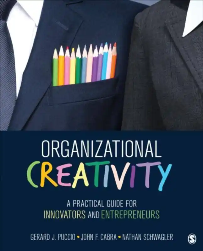 Organizational Creativity: A Practical Guide for Innovators & Entrepreneurs / 1st Edition Alleen Vandaag